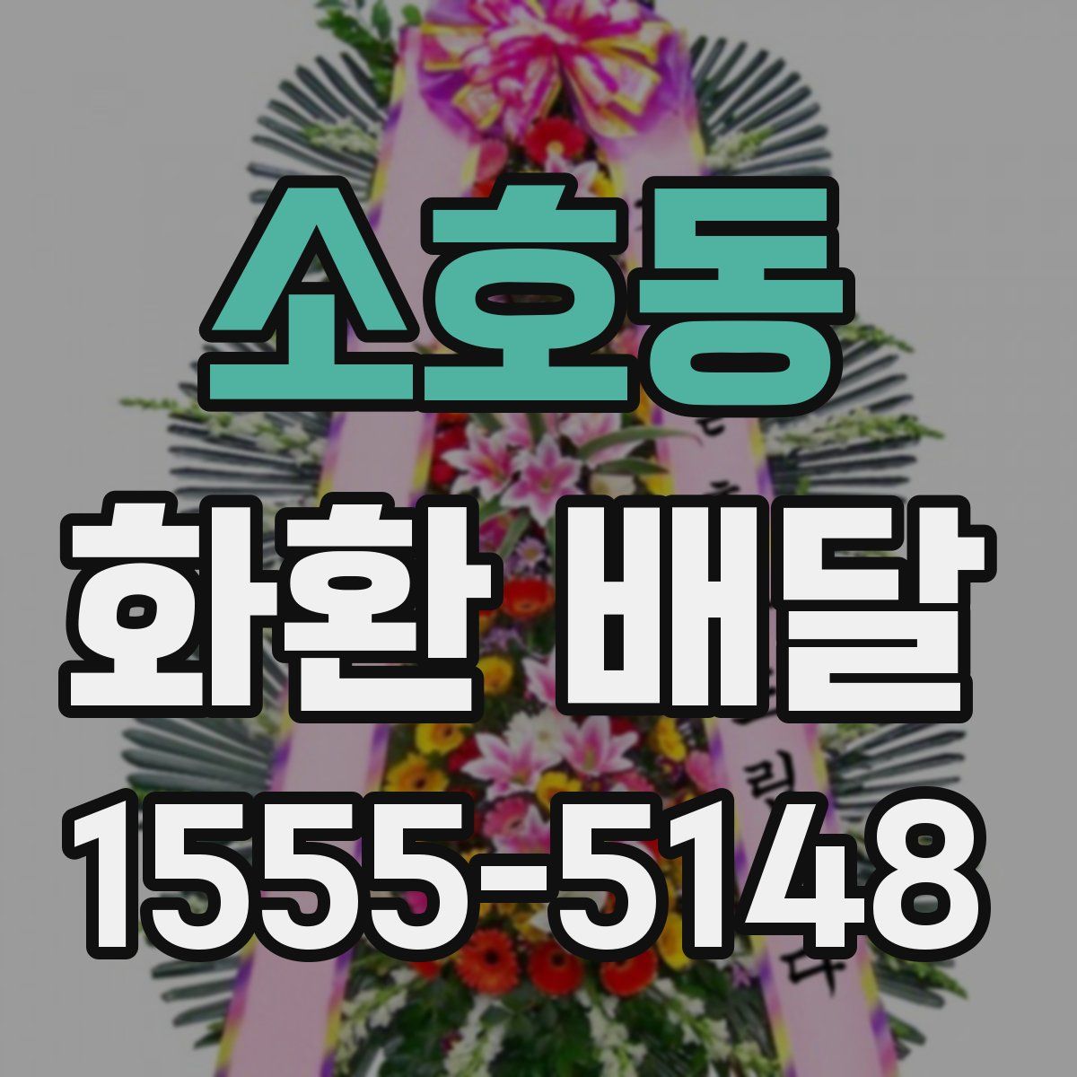 소호동 화환 배달