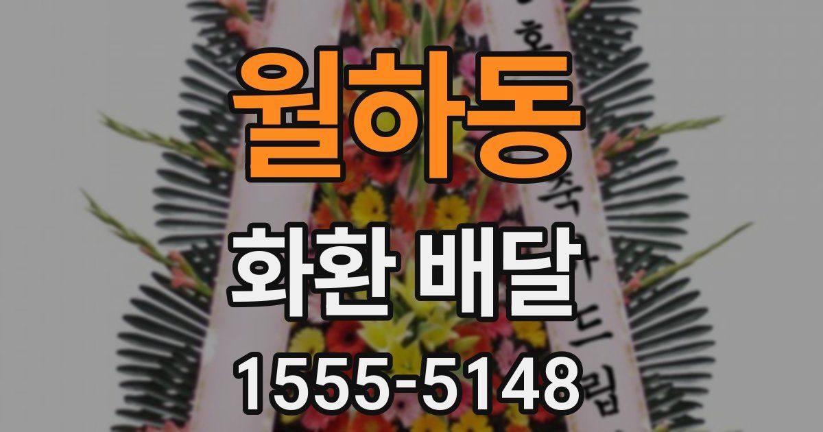 월하동 화환 배달