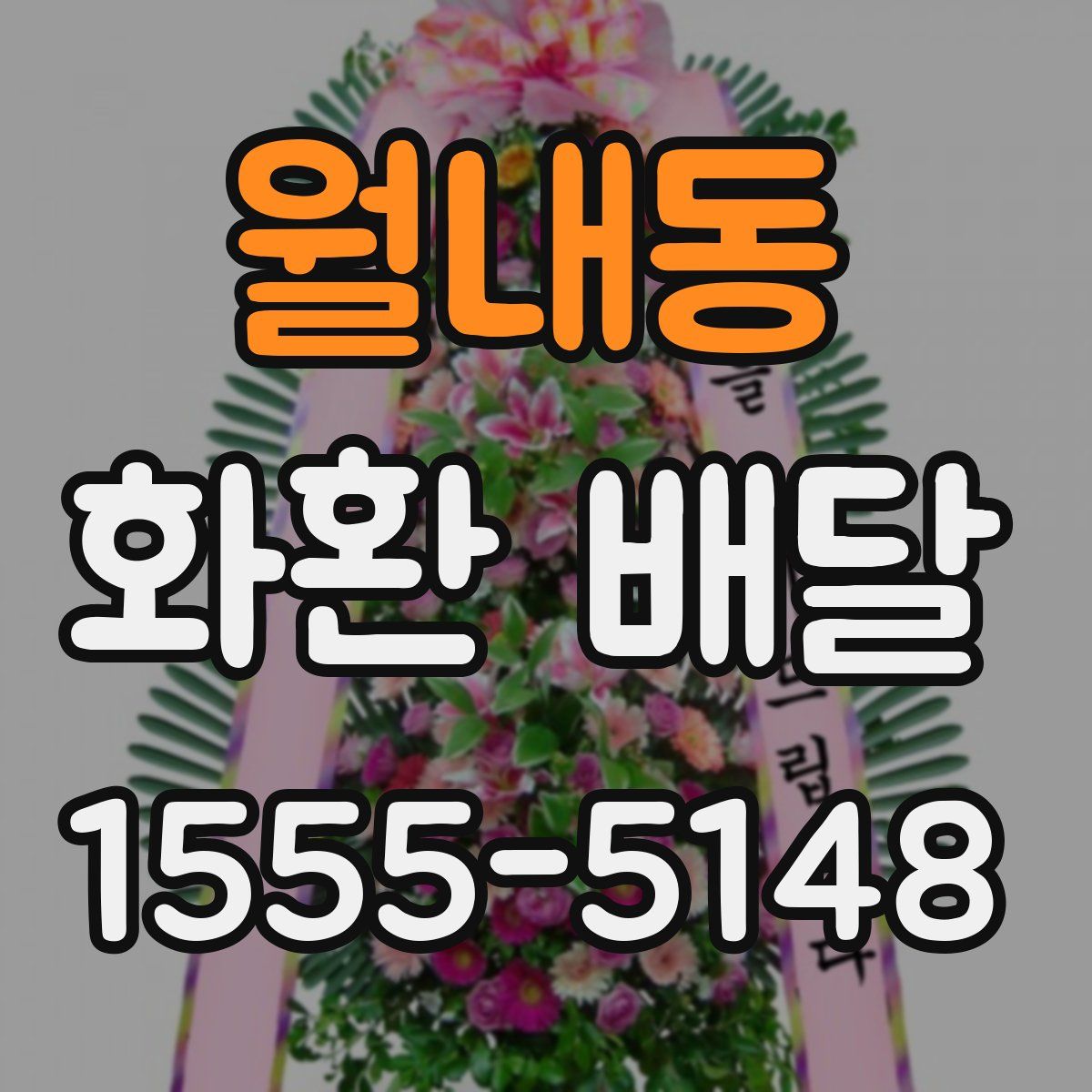 월내동 화환 배달