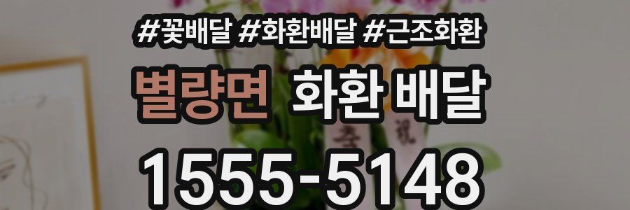 별량면 화환 배달