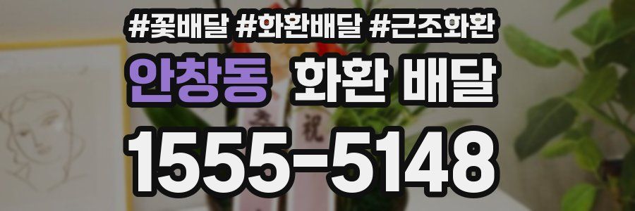 안창동 화환 배달