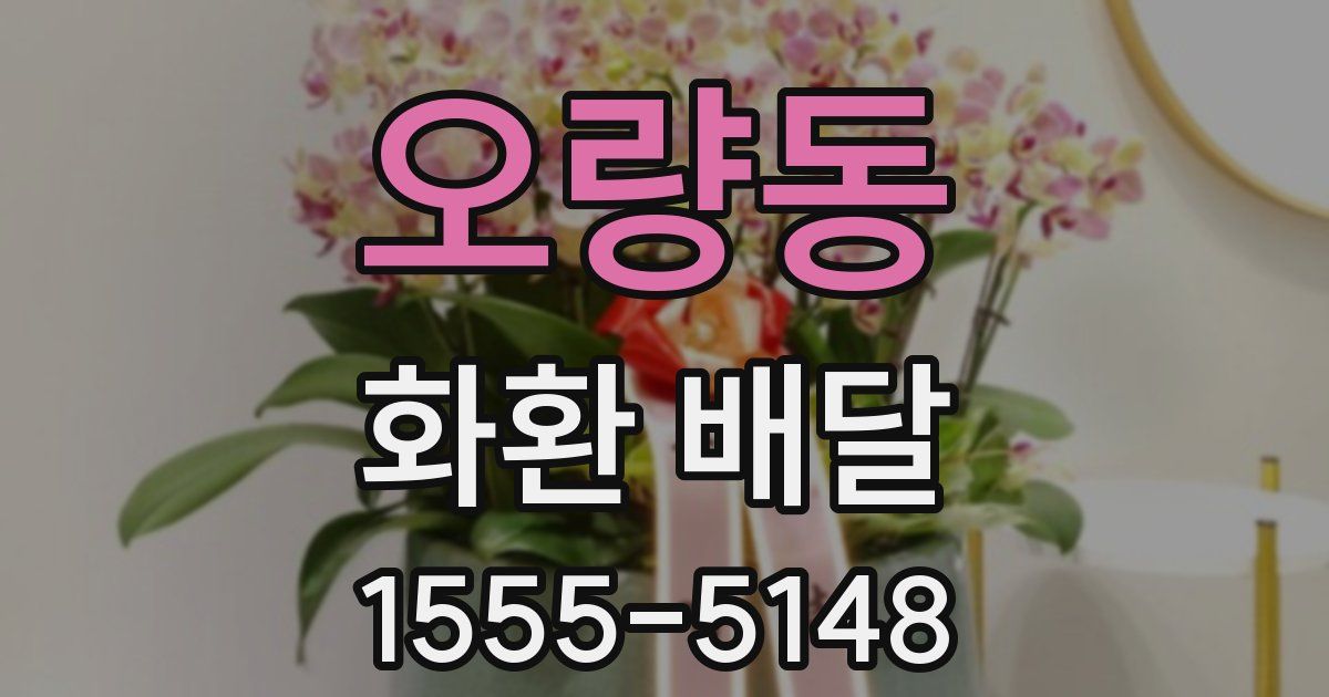 오량동 화환 배달