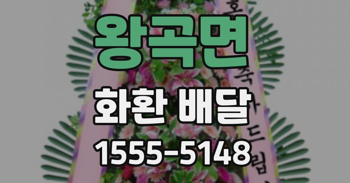 왕곡면 화환 배달