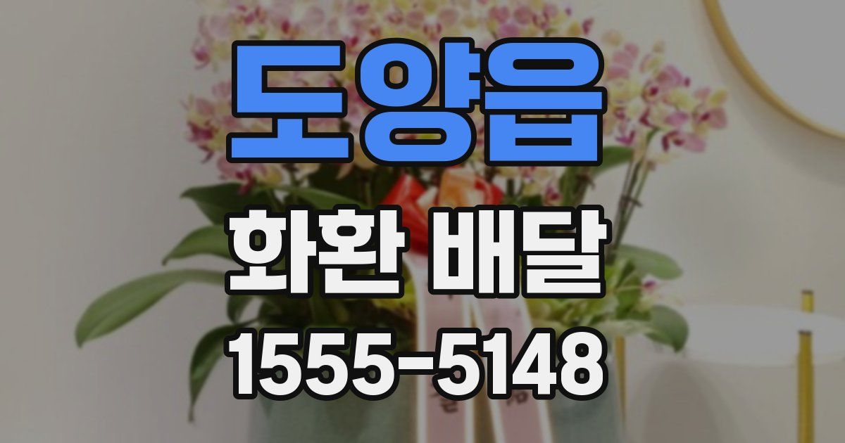 도양읍 화환 배달