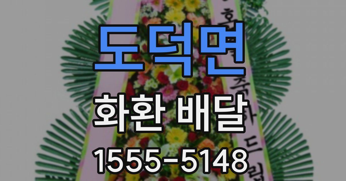 도덕면 화환 배달