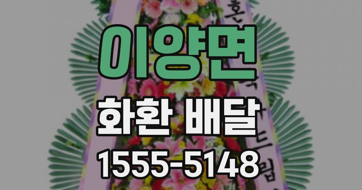 이양면 화환 배달