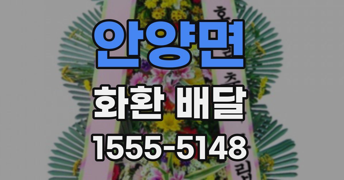 안양면 화환 배달