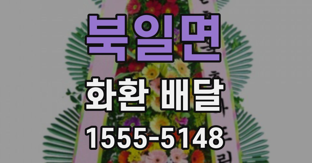 북일면 화환 배달