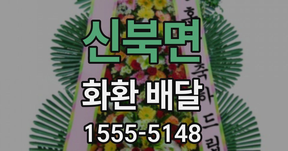 신북면 화환 배달