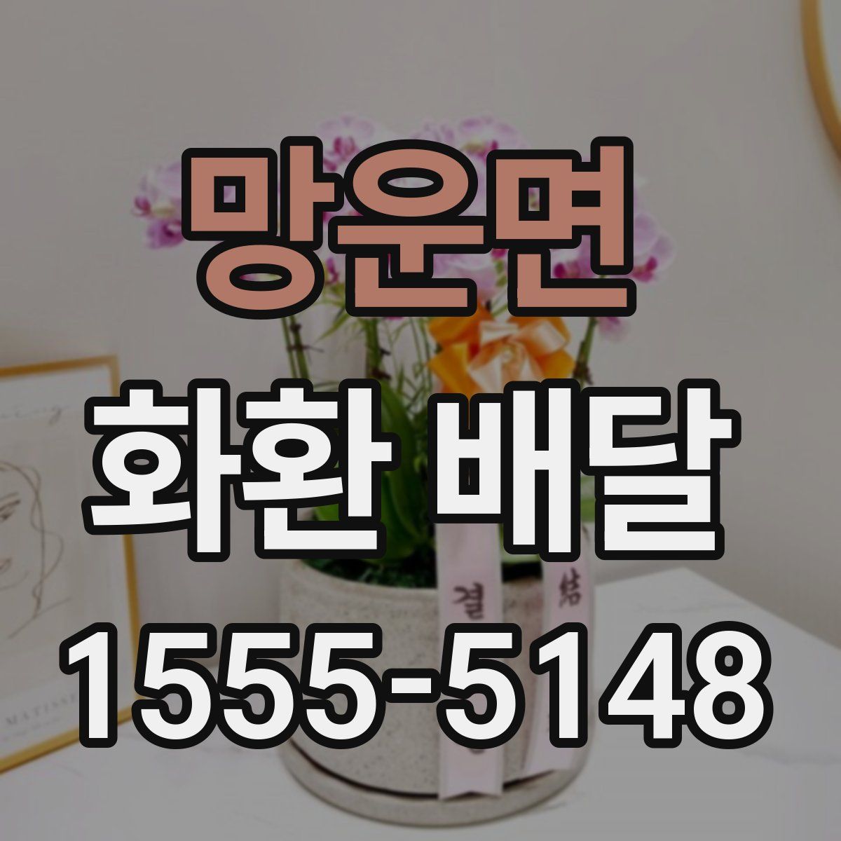 망운면 화환 배달