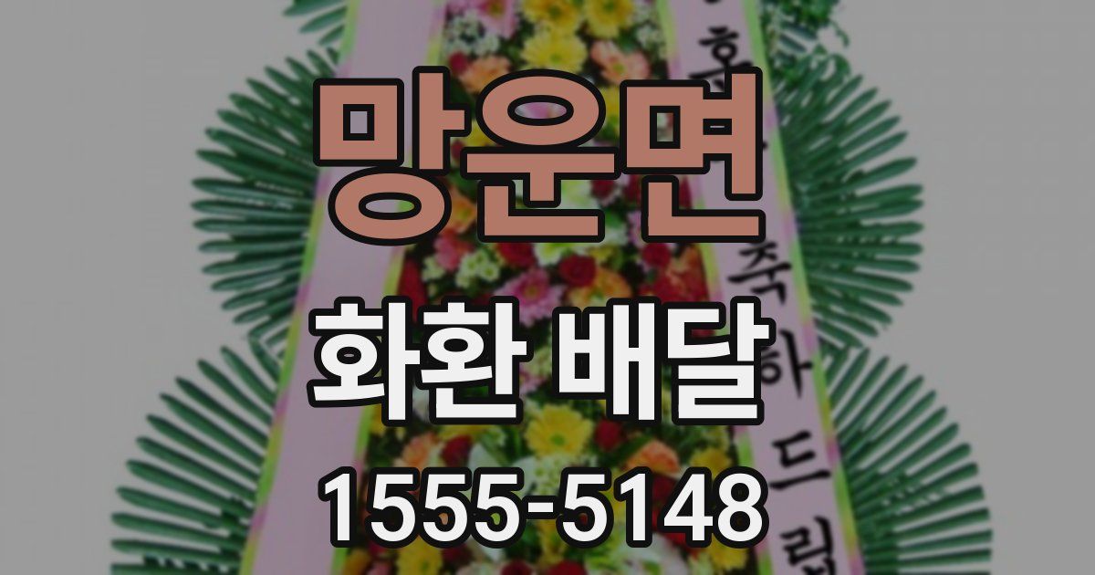 망운면 화환 배달