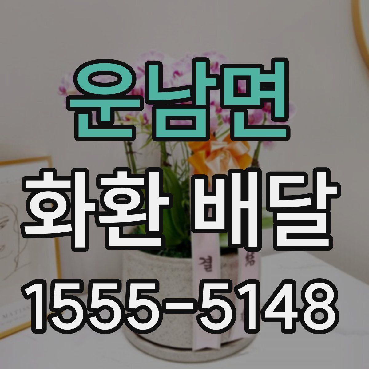 운남면 화환 배달