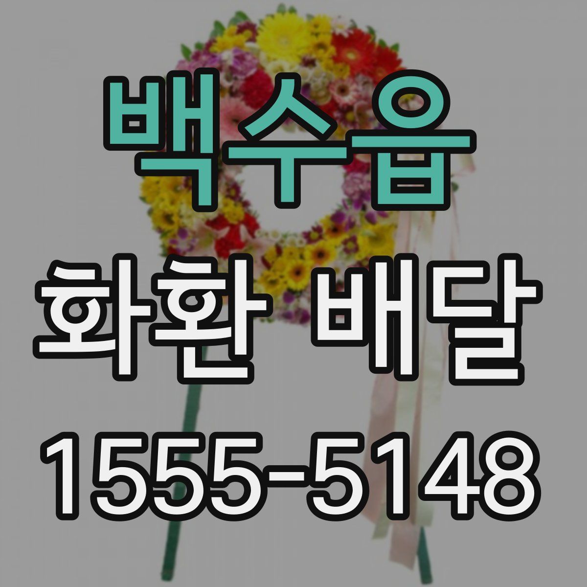 백수읍 화환 배달