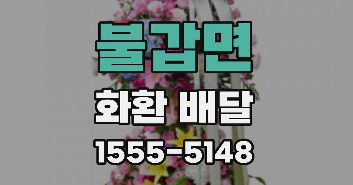 불갑면 화환 배달