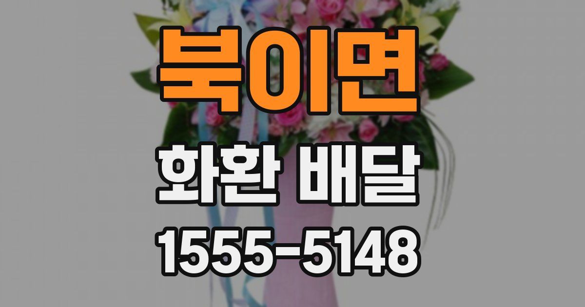 북이면 화환 배달