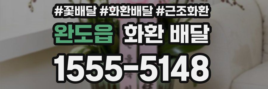 완도읍 화환 배달