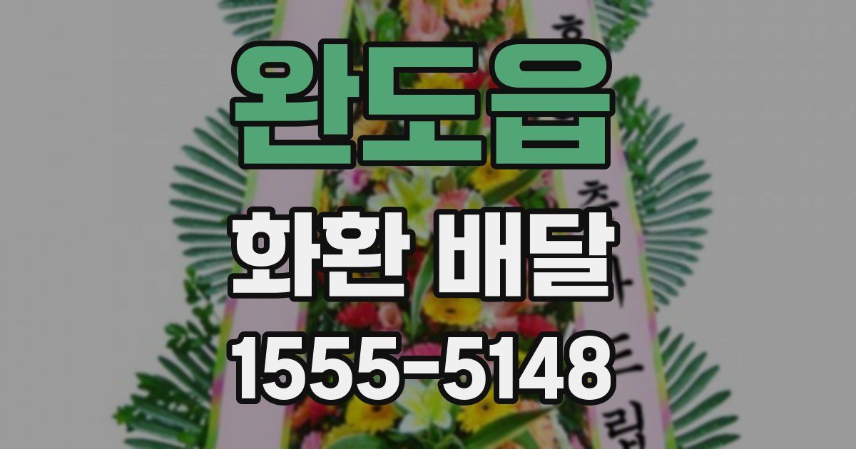 완도읍 화환 배달