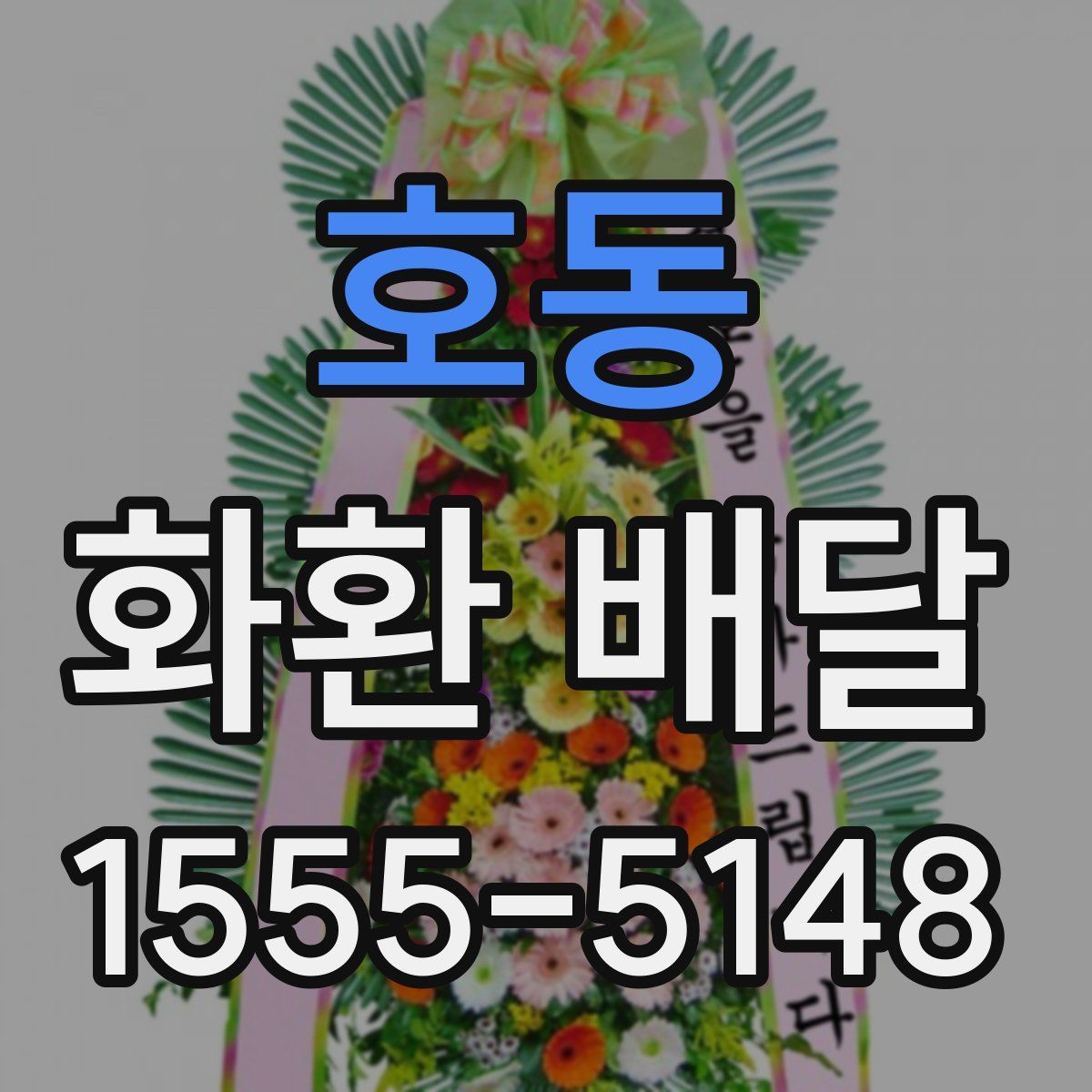 호동 화환 배달