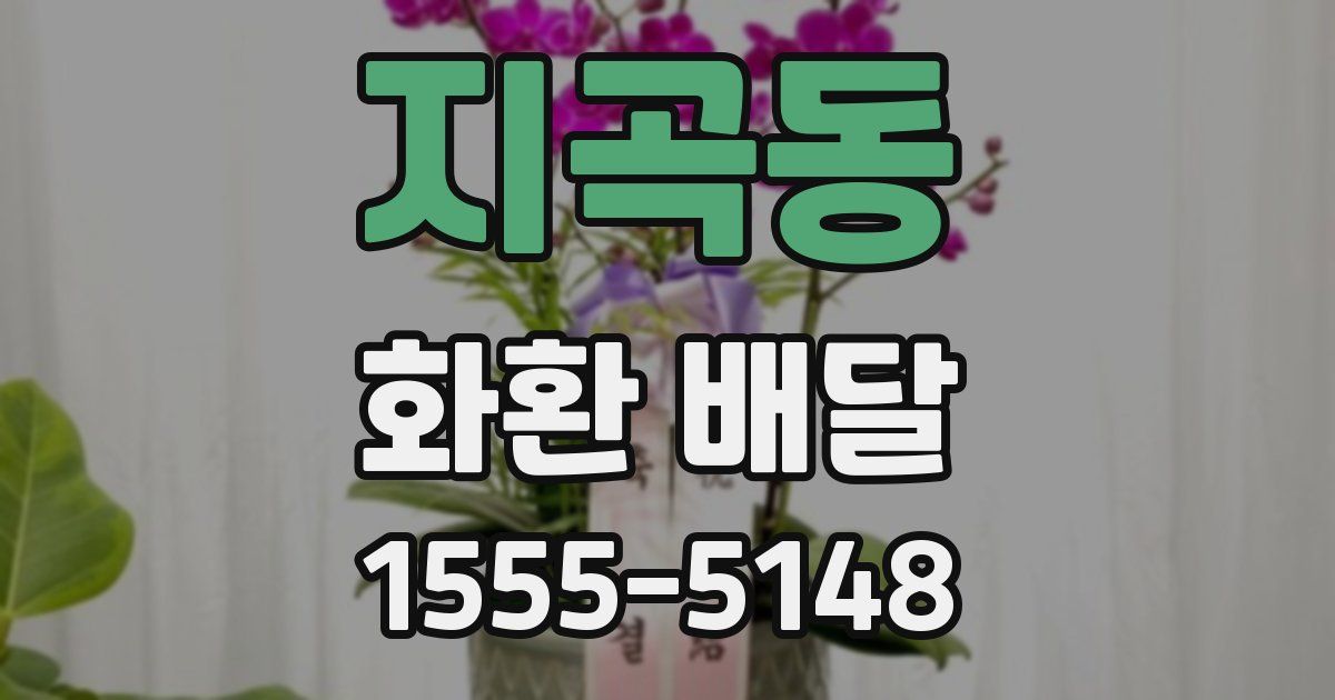지곡동 화환 배달