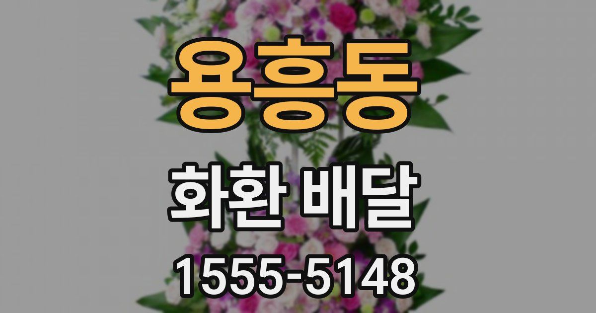 용흥동 화환 배달