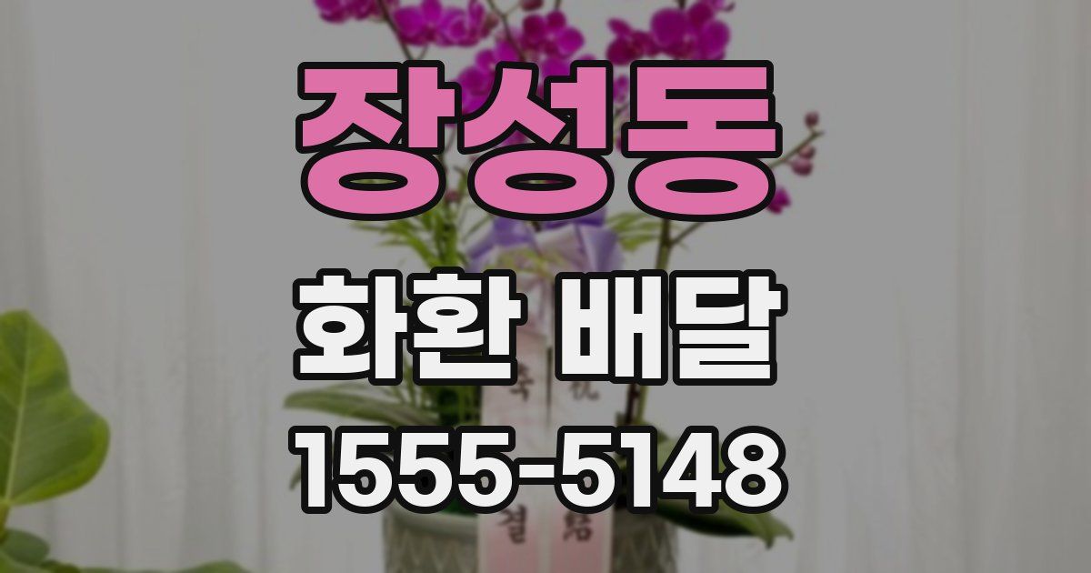 장성동 화환 배달