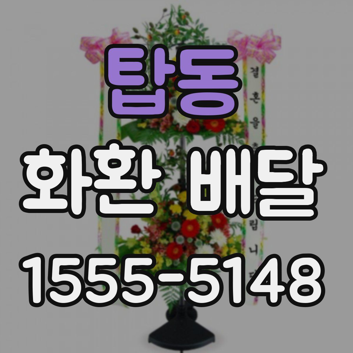탑동 화환 배달