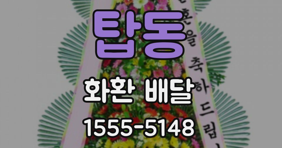 탑동 화환 배달