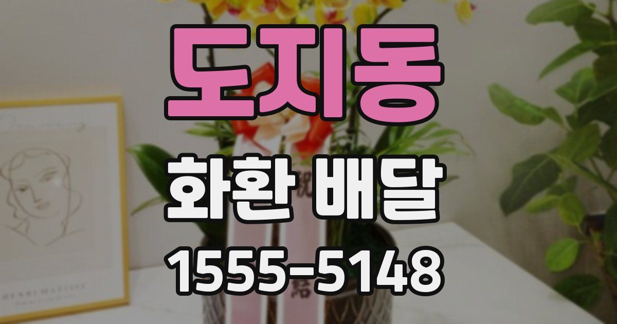 도지동 화환 배달