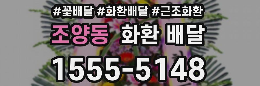 조양동 화환 배달