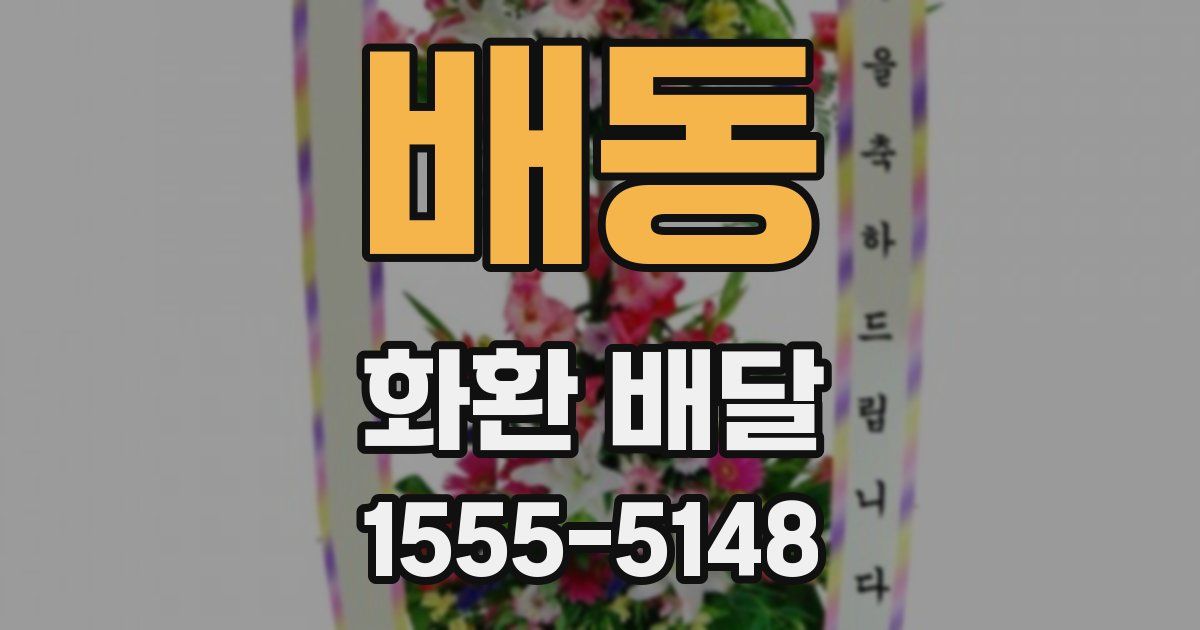 배동 화환 배달