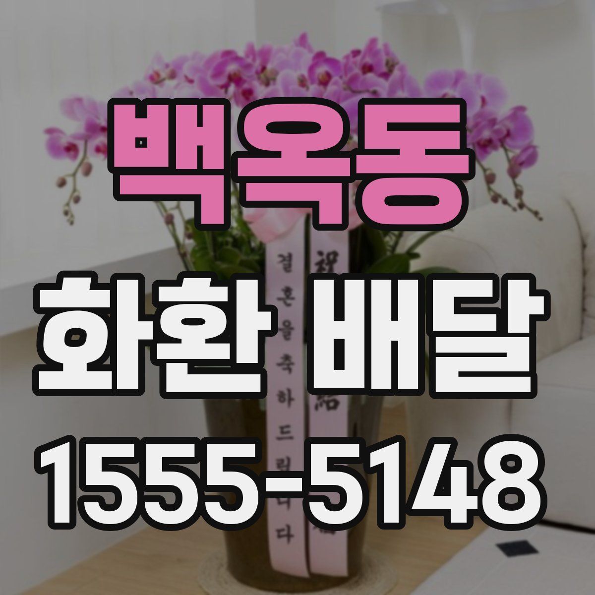 백옥동 화환 배달
