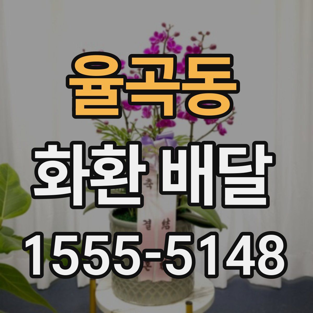 율곡동 화환 배달