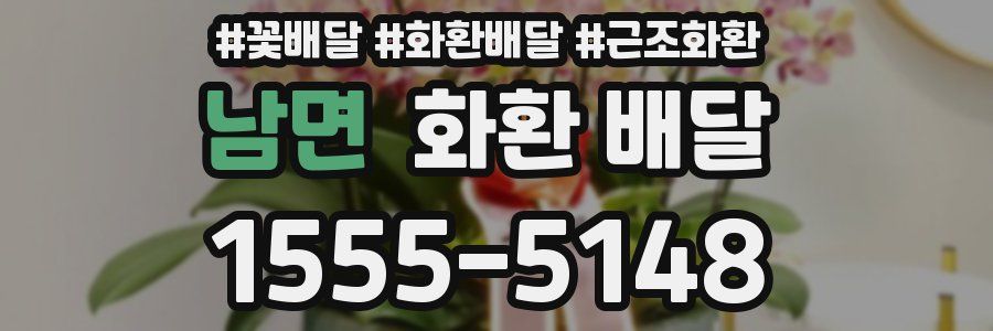 남면 화환 배달