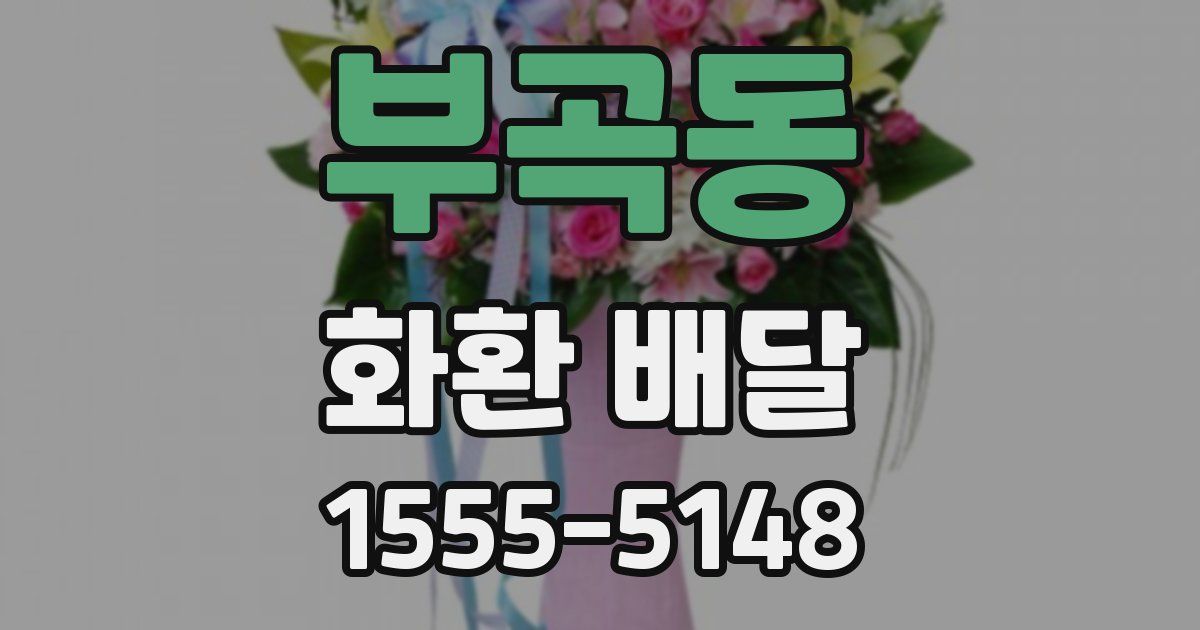 부곡동 화환 배달