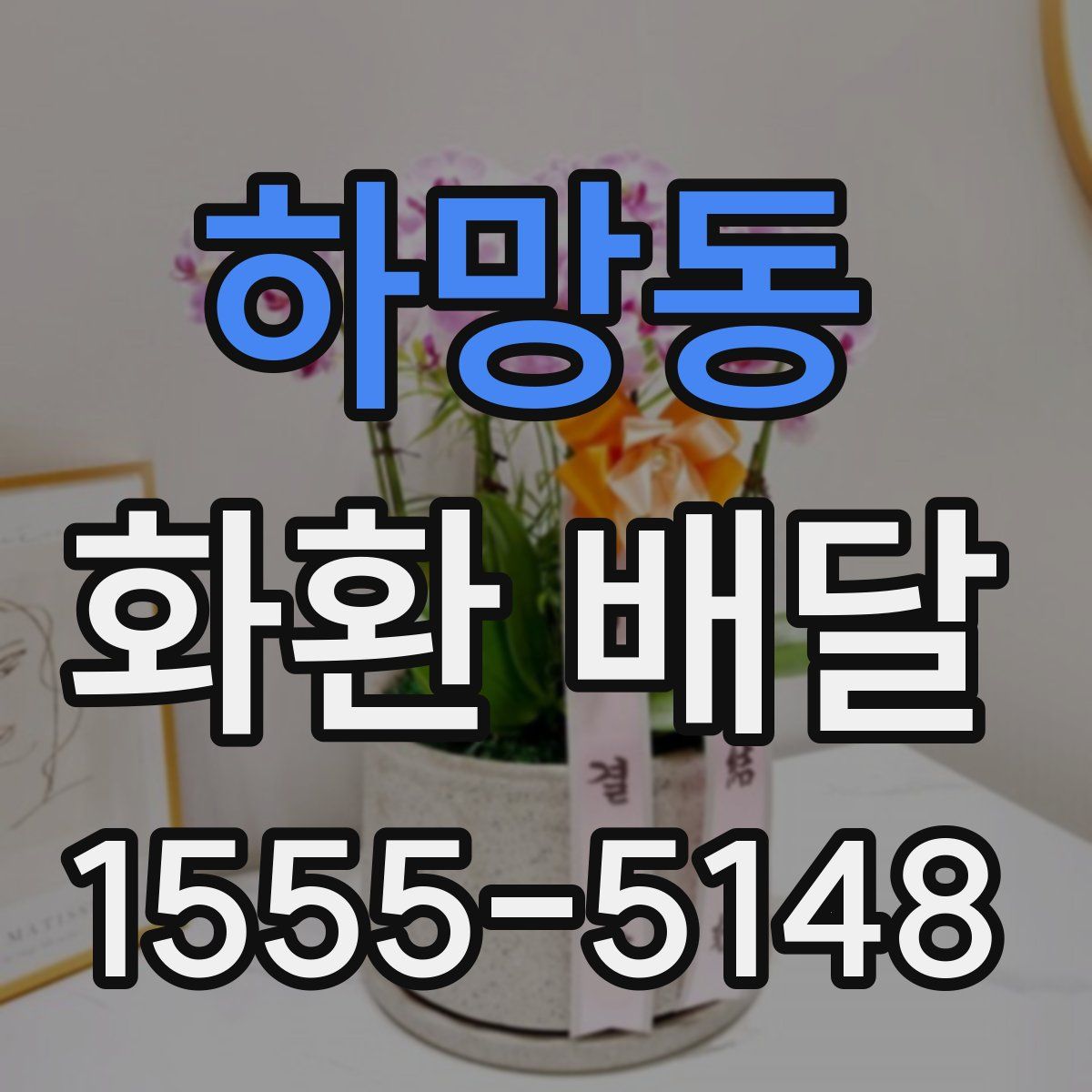 하망동 화환 배달
