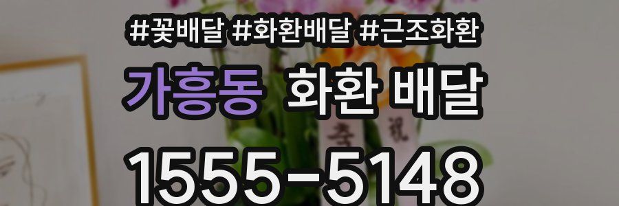 가흥동 화환 배달