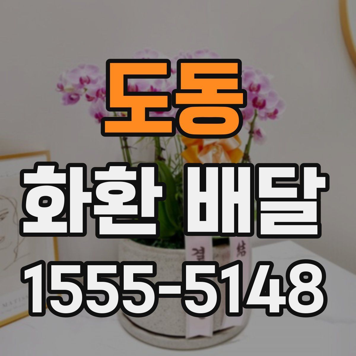 도동 화환 배달