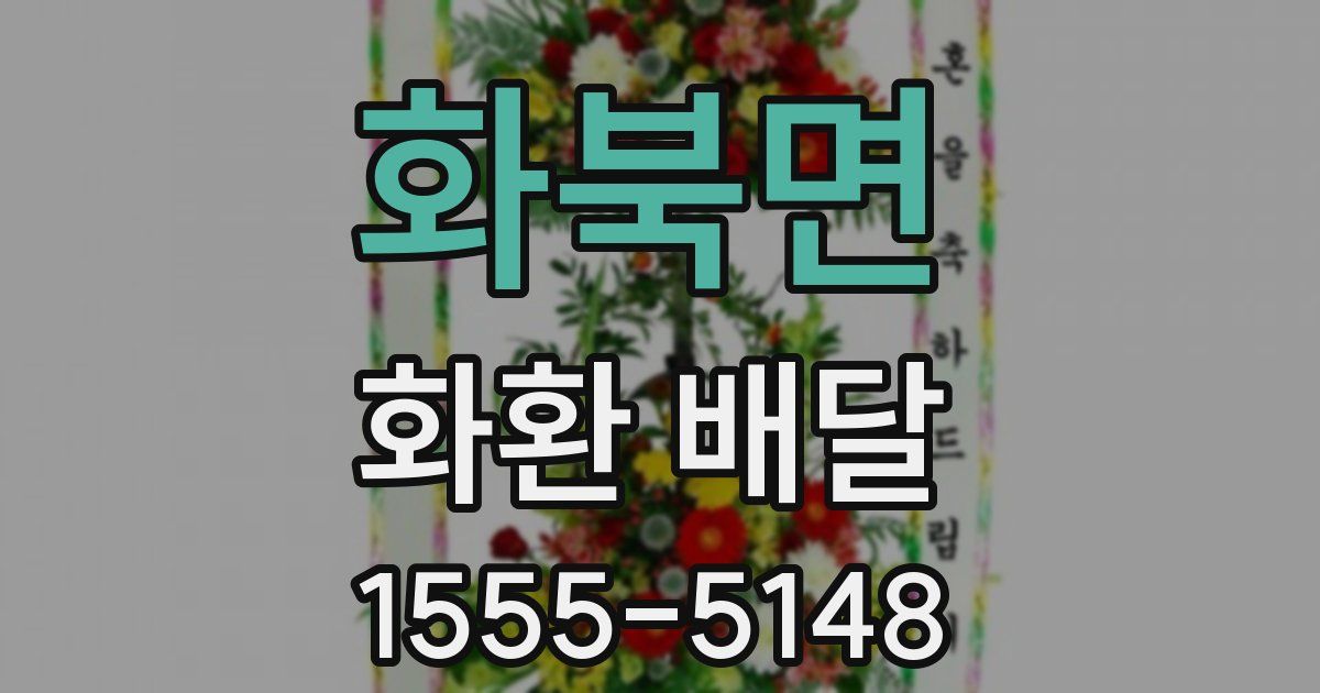 화북면 화환 배달