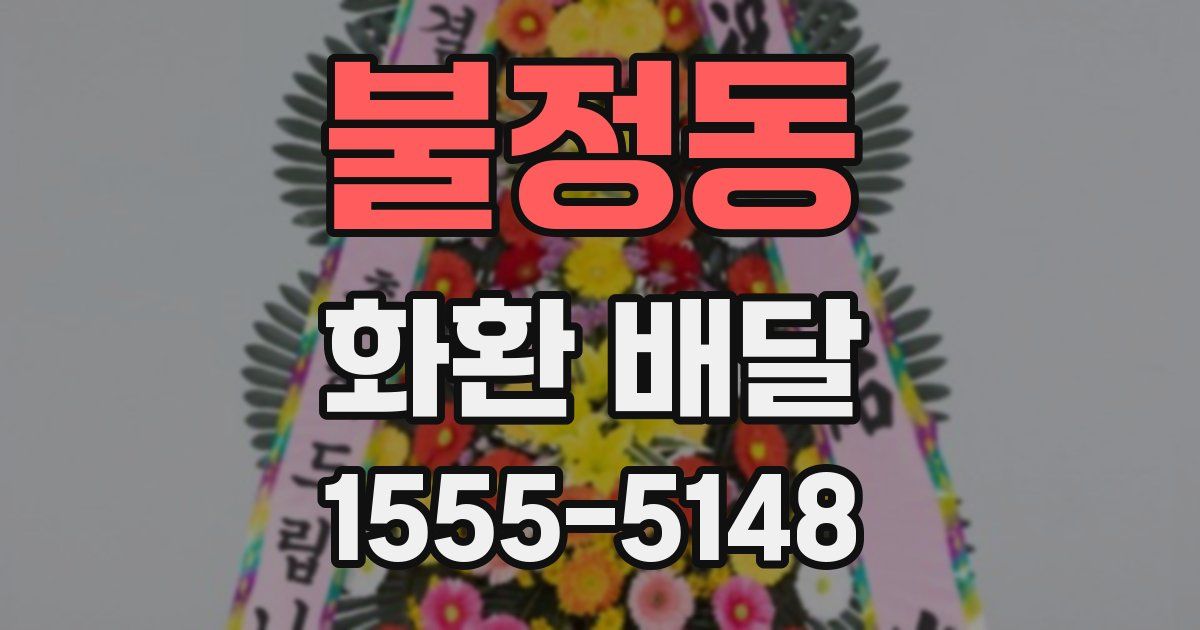 불정동 화환 배달