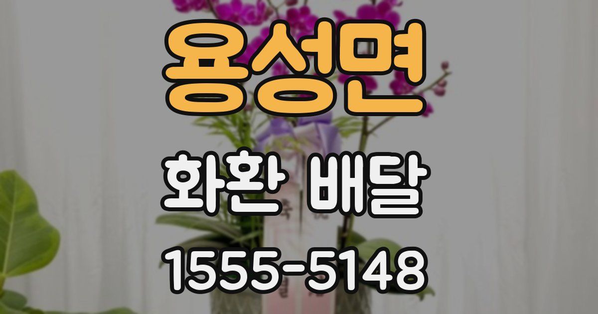 용성면 화환 배달