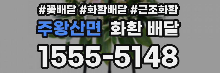 주왕산면 화환 배달