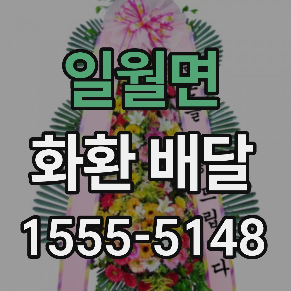 일월면 화환 배달