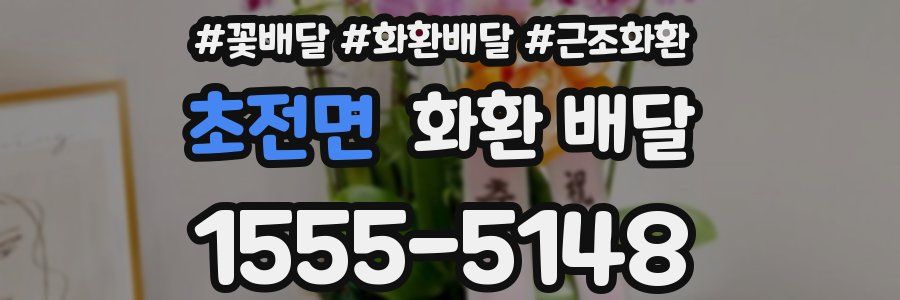 초전면 화환 배달