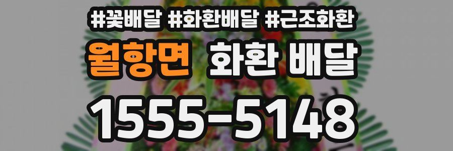 월항면 화환 배달
