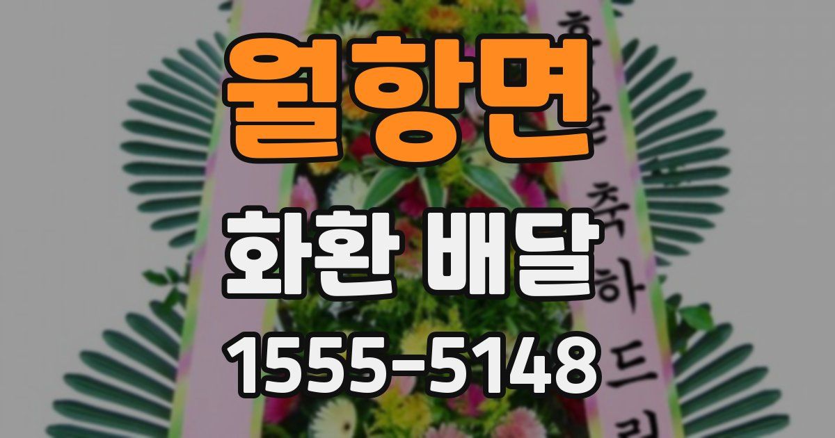 월항면 화환 배달