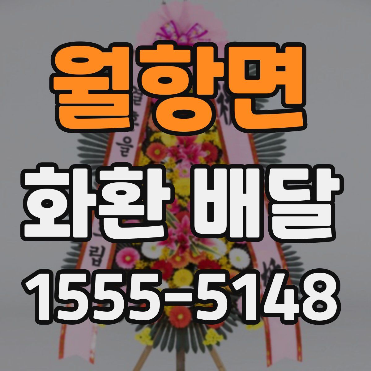 월항면 화환 배달