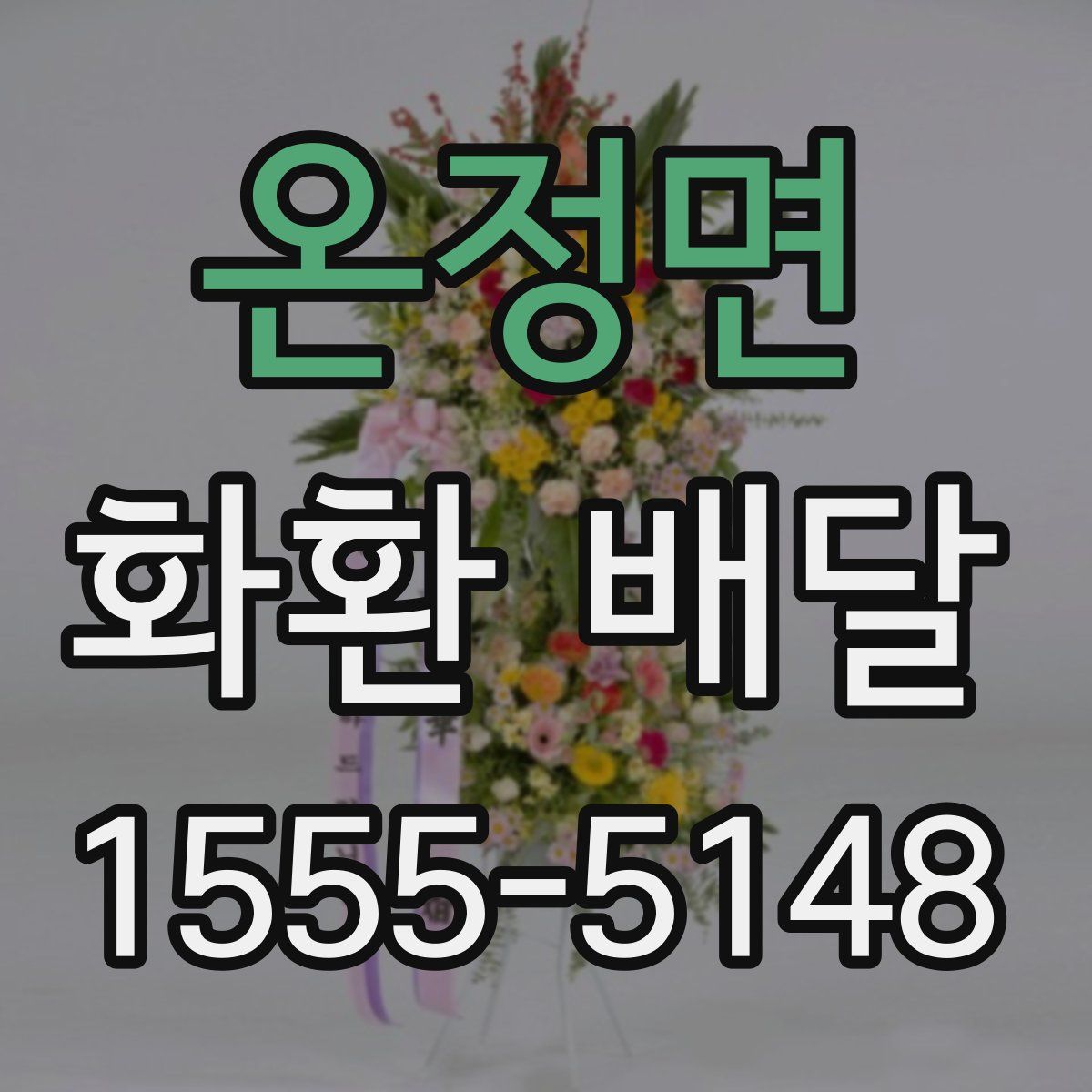 온정면 화환 배달