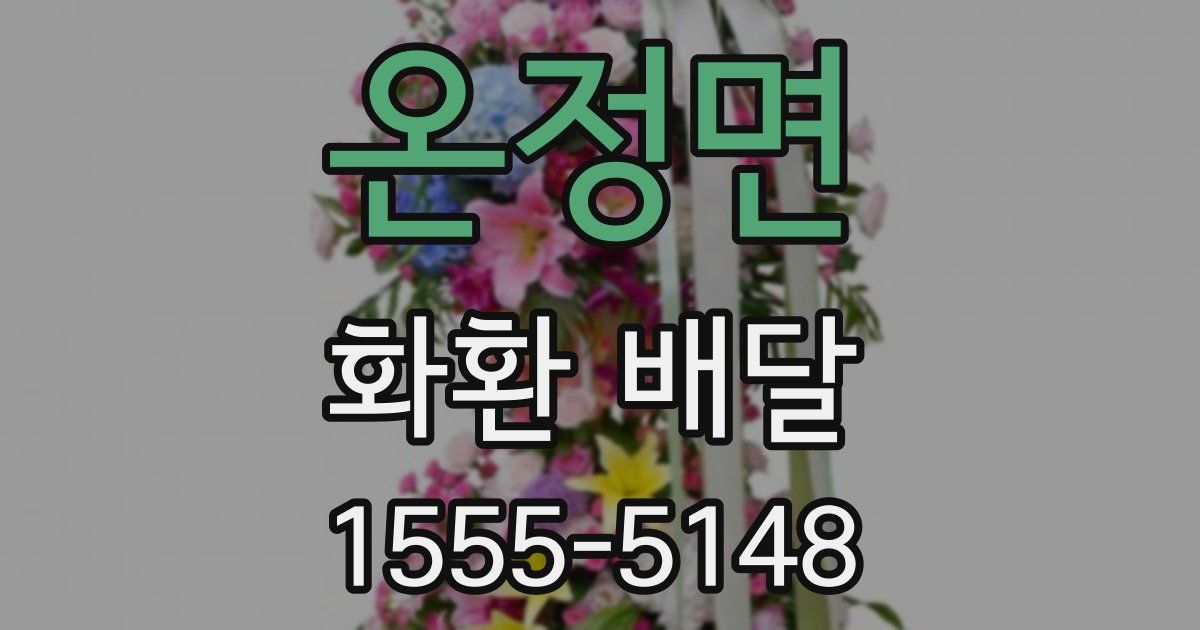 온정면 화환 배달