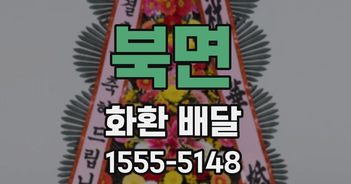 북면 화환 배달