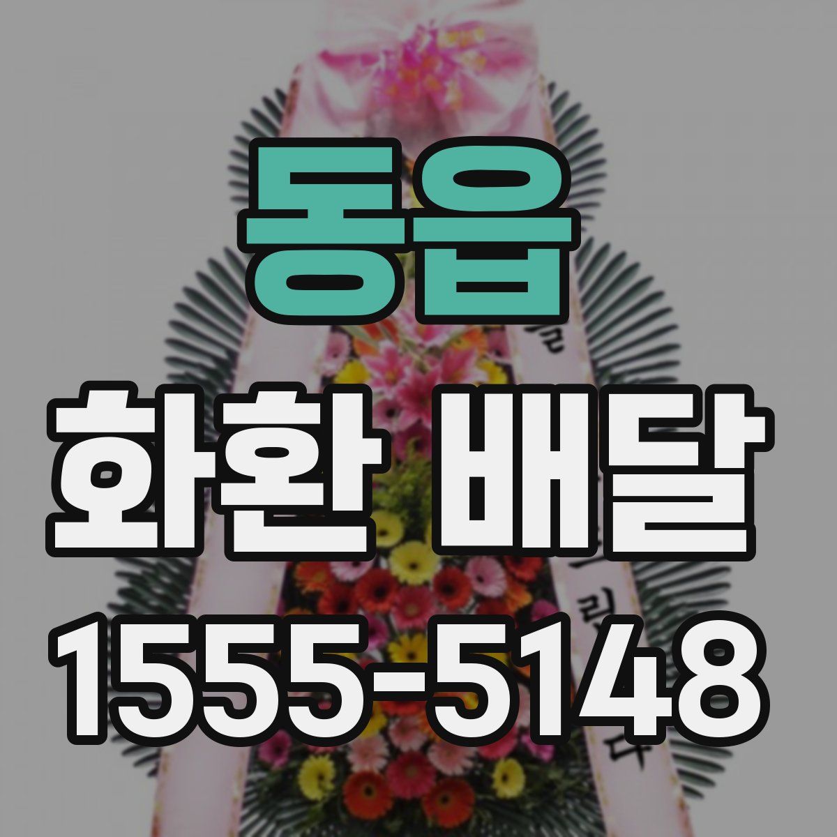 동읍 화환 배달